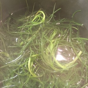 The garden cress boiling. Didn't get a picture of the finished product.