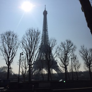 'Artsy' Picture of Eiffel Tower from across the Seine