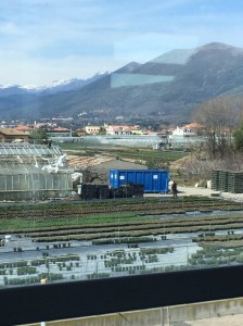 The Coastal Farmbelt