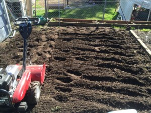 Rototilled Garden