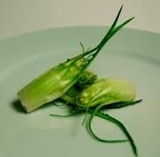 Chicory 'core' sections